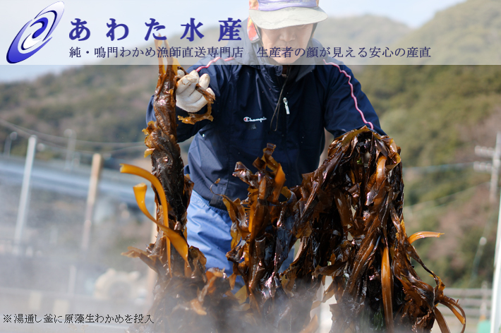 純・鳴門わかめ あわた水産｜鳴門わかめ 鳴門鯛を産直通販