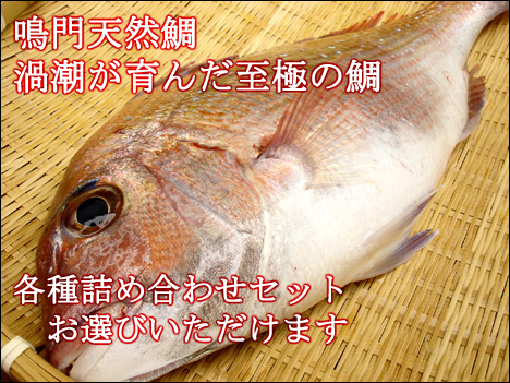 ��V�R��A�e��T�C�Y�𒼑����܂�